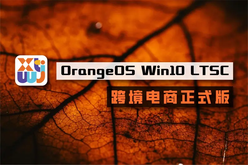 系统玩家跨境版(跨境电商系统)