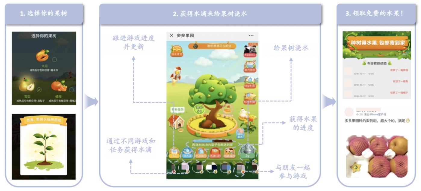 拼多多获全国脱贫攻坚先进集体表彰,CEO陈磊:将继续扎根“三农”,助力乡村振兴
